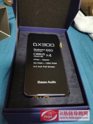 iBassoDX300urΣDX300uyÅ(sh)͈r